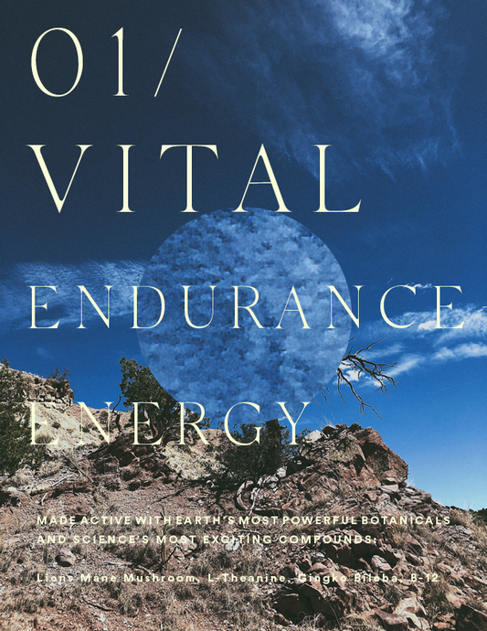 01 / VITAL ENDURANCE + ENERGY