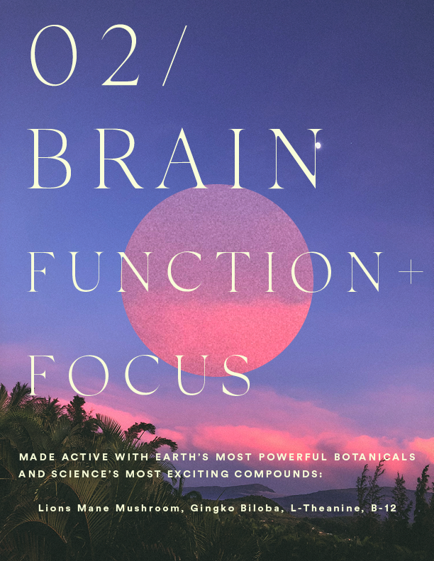 02 / CALM FUNCTION + FOCUS