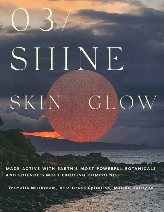 03/ SHINE SKIN & GLOW