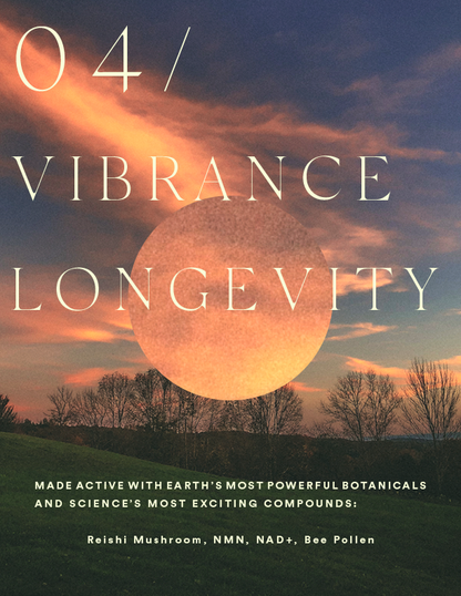 04 / VIBRANCE + LONGEVITY